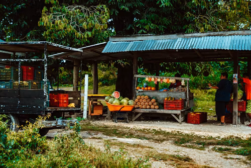 farmers market logistics 