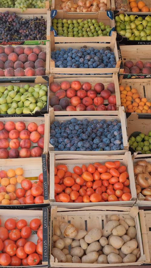 farmers market planning 