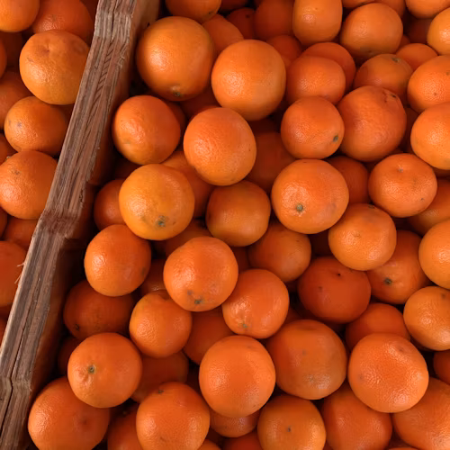 local produce sales 